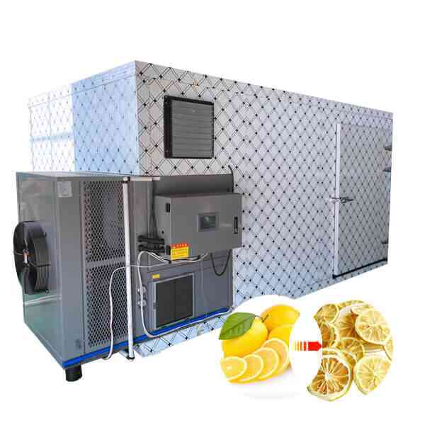 lemon heat pump dryer
